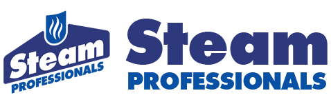 Steam Cleaning and Disinfecting Professionals