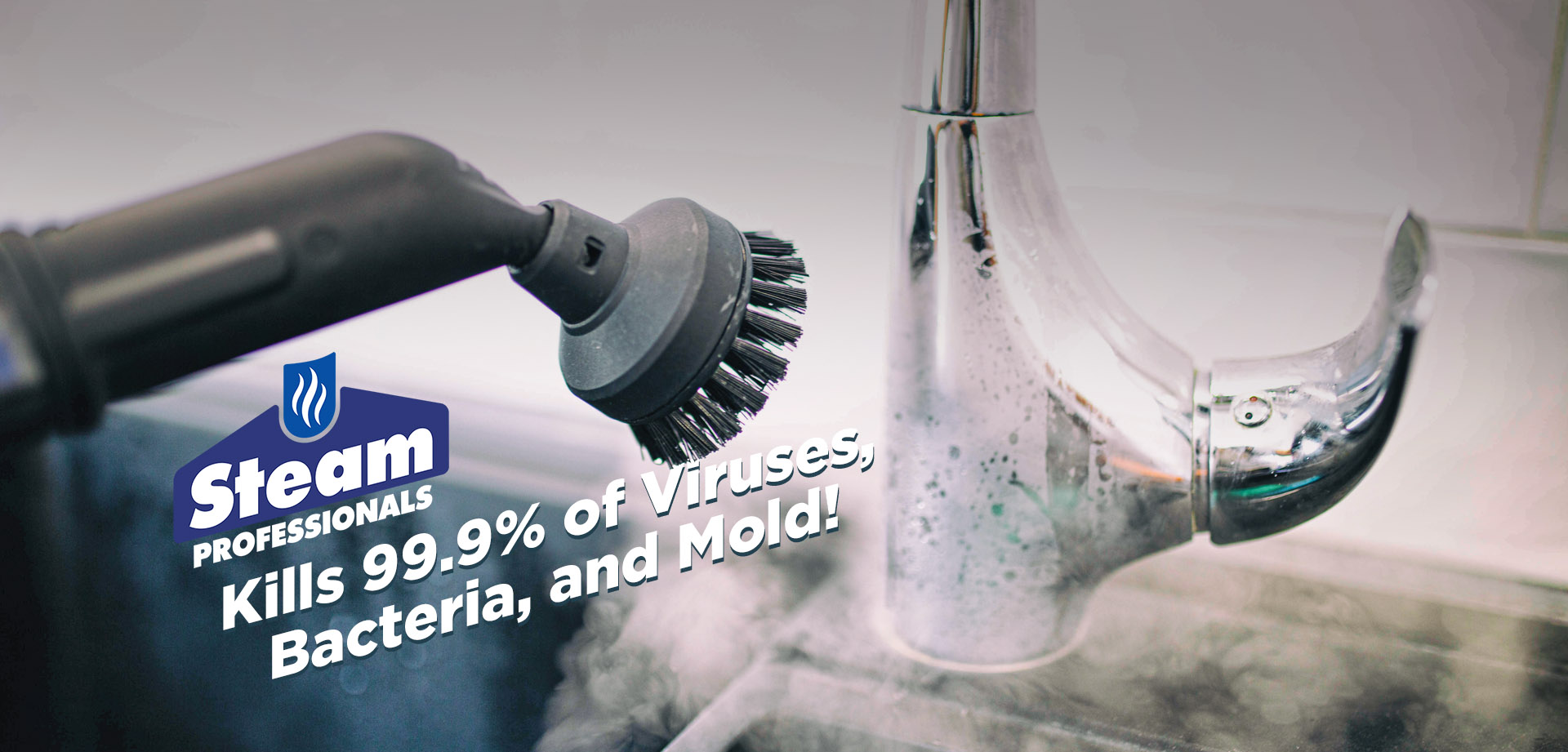 Kills 99.9% of Viruses, Bacteria, and Mold! Steam Professionals of Palm Beach, Florida