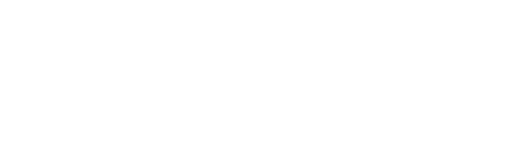 Steam Professionals of Palm Beach, Florida