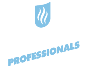 Steam Professionals of Palm Beach, Florida